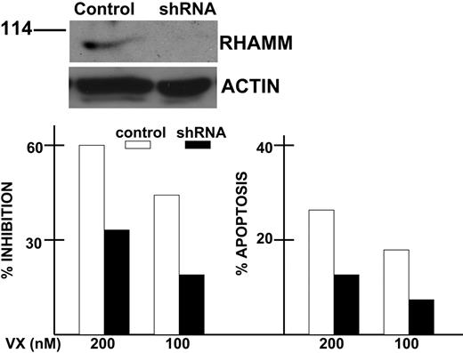 Figure 6. Effect of RHAMM silencing. AF-10 cells were infected with lentivirus expressing shRNA for RHAMM or a scrambled sequence (Control). After selection of transduced clones in blasticidin, the isogenic cell lines were first immunoblotted for expression of endogenous RHAMM (top). Immunoblot was performed 6 hours after synchronizing cells as described in Figure 5. Isogenic cell lines were then exposed to 0, 100, or 200 nM VX-680 for 72 hours, after which percent inhibition was calculated from growth assays and percent apoptosis was assayed by flow cytometric analysis of activated caspase 3 expression (bottom). Results are means of 3 experiments where SDs were less than 5% of the mean for all groups. The degree of percent inhibition and apoptosis in shRNA-expressing cells (▪) was significantly less (P < .05) than that of control cells (□).