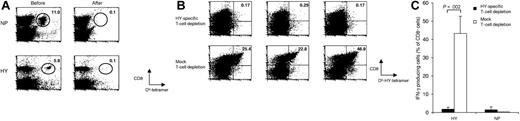 Figure 1. Effective MHC class I tetramer–mediated depletion of antigen-specific CD8+ T cells. (A) Splenocytes of mice transgenic for the NP366-374-specific F5 TCR (top), or HY738-746-specific TCR (bottom) were mixed with wild-type splenocytes and subjected to 2 rounds of MHC tetramer–based depletion with Db-NP or Db-HY tetramers. Prior to depletion (Before), and after depletion (After), the percentage of NP- or HY-specific CD8+ T cells (top right corner) was determined by combined staining with α-CD8 antibody and Db-NP or Db-HY tetramers. Depletion was performed by staining with PE-labeled antigen-specific Db tetramer, followed by negative selection with α-PE microbeads (Miltenyi Biotec). (B-C) Depletion of naive, polyclonal HY-specific T cells. Splenocytes from female B6 mice were depleted with Db-HY tetramers and α-PE microbeads, or mock-depleted with α-PE microbeads alone. Cells (40 × 106) were transferred into female TCRα-deficient mice, and 4 days after transfer, mice received an HY738 peptide vaccination in combination with α-CD40 antibody treatment. At day 10 after vaccination, spleens were harvested and spleen cells were restimulated in vitro for 14 days. The percentage of HY738-specific CD8+ T cells was assessed by Db-HY tetramer staining (B), and by intracellular IFNγ staining (C), upon a 5-hour in vitro restimulation with the HY738-746 peptide (P = .002), or with the irrelevant NP366-374 peptide. Each dot plot in panel B represents a single mouse, and bars in panel C represent mean responses of 3 mice ± SD (representative of at least 2 independent experiments).