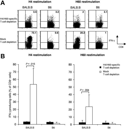 Figure 2. Depletion of antigen-specific T cells directed toward MiHAg H4 and H60. Splenocytes from B6 mice were depleted with Kb-H4 tetramers plus Kb-H60 tetramers, or were mock depleted. Splenocytes (25 × 106) were subsequently transferred into TCRα-deficient mice; 4 days later, mice received both H4 and H6 peptide vaccination. After vaccination (10 days), splenocytes were restimulated in vitro for 14 days in the presence of 5 × 10−4 μg/mL H4 (left panels), or 5 × 10−2 μg/mL H60 peptide (right panels). Total alloreactive T-cell responses were assessed by intracellular IFNγ staining upon a 5-hour incubation with IFNγ-pretreated, CFSE-labeled BALB.B splenocytes (left plots), or with B6 control splenocytes (right plots). (A) Dot plots show the results of representative mice within each group with the percentage of IFNγ-producing CD8+ T cells depicted in the top right corner. (B) Graph shows the mean percentage of IFNγ-producing CD8+ T cells of 3 mice (H4: P = .015; H60: P = .084 ± SD).