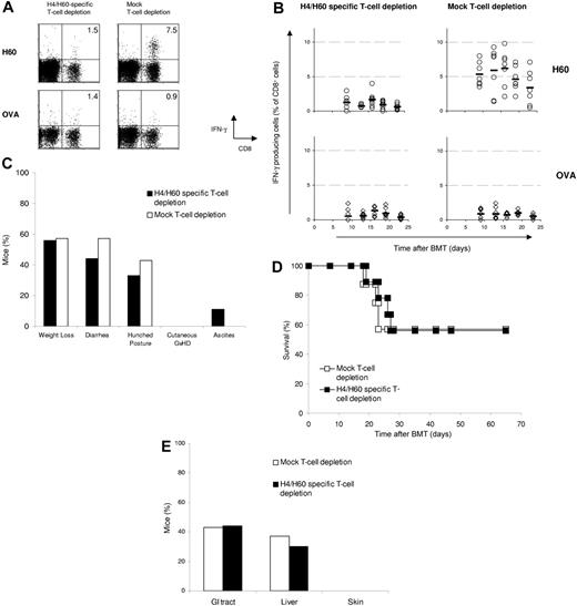 Figure 4. H4/H60-specific T cells are not required for GVHD independent of T-cell dose. H4/H60-specific T-cell–depleted splenocytes (2 × 106) or mock-depleted splenocytes from female B6 mice together with 5 × 106 T-cell–depleted BM cells were cotransferred into lethally irradiated male BALB.B recipients. Peripheral blood was obtained at indicated days after transfer, and the percentage of antigen-specific CD8+ T-cell responses ex vivo was determined for each individual mouse by intracellular IFNγ staining as described above. (A) Dot plots show H60-specific CD8+ T-cell responses on day 16 after transfer in peripheral blood of a representative mouse. Numbers in upper right quadrants reflect the percentage of IFNγ-producing CD8+ T cells of total CD8+ T cells. (B) Each ○ (restimulation with H60) or ⋄ (restimulation with OVA) represents 1 mouse; bars indicate averages. (C) Clinical signs of GVHD were scored daily starting from day 14 after transfer, when the mice had recovered from irradiation-induced weight loss. (D) Survival plot of mice that received H4/H60-specific T-cell–depleted splenocytes (▪; n = 9) or mock-depleted splenocytes (□; n = 7). (E) Incidence of histopathologic signs of GVHD in the classical target organs.