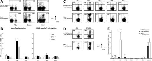 Figure 5. H4/H60-specific T-cell depletion reduces H4/H60-specific immune responses but does not alter total anti-BALB.B responses. Splenocytes from female B6 mice were either depleted with Kb-H4-and Kb-H60 tetramers or mock depleted. Subsequently, 25 × 106 splenocytes plus 5 × 106 T-cell–depleted BM cells were transferred into lethally irradiated male BALB.B recipients (n = 3 in both groups). Blood was sampled at day 6 after HSCT, and 1 day later, spleens and livers were harvested for T-cell isolation. Antigen-specific CD8+ T-cell responses were determined ex vivo by intracellular IFNγ staining for each individual mouse upon incubation with 0.1 μg/mL of the indicated peptide for 5 hours. (A) Dot plots show H60-specific CD8+ T-cell responses in peripheral blood (PBL), spleen, and liver samples of 1 representative mouse. (B) Graph shows the mean percentage of IFNγ-producing CD8+ T cells of 3 mice ± SD. (C-E) Splenocytes from mice analyzed in panels A and B were restimulated in vitro for 14 days with CD8+ T-cell–depleted irradiated male BALB.B target splenocytes. The restimulated cells were tested for reactivity toward the various MiHAgs (C), and for anti-BALB.B reactivity (D) by intracellular IFNγ staining. (E) Graph shows the mean percentage of IFNγ-producing CD8+ T cells of 3 mice ± SD. Numbers in upper right quadrants reflect the percentage of IFNγ-producing CD8+ T cells of total CD8+ T cells (panels A, C, and D).
