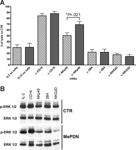 Figure 4. MePDN inhibits NK receptor–mediated cytotoxicity and ERK phosphorylation upon NK receptor cross-linking. (A) NK cells were cultured for 5 days in the presence of IL-2 (100 U/mL) or IL-15 (20 ng/mL) with or without MePDN at the final concentration of 0.5 μg/mL. NK receptor–mediated cytotoxicity was assessed in a 4-hour 51Cr-release assay against the FcR-γ+ murine P815 cell line. The E/T ratio was 5:1. Data represent percentage of NK receptor–mediated cytotoxicity of MePDN-treated NK cells cultured in the presence of IL-2 (hatched bars) or IL-15 (gray bars) versus control NK cells cultured with IL-2 or IL-15 alone. Results are expressed as the mean percentage (± SEM) of cytotoxicity analyzed in 11 experiments performed with 11 different donors. Statistical significance was checked by nonparametric Mann-Whitney test. (B) After 4 days of culture, NK cells derived from the same donor analyzed in panel A and cultured with IL-2 (100 U/mL) in the presence or absence of MePDN at the final concentration of 0.5 μg/mL were starved for 4 hours at 37°C in RPMI medium with no FCS or cytokines. Cells were then incubated with the indicated mAbs and cross-linked with F(ab′)2 GAM at 37°C for 5 minutes. Total-cell lysates were analyzed in order to detect p-ERK1/2. Cell membrane was reprobed with an antibody recognizing the native protein in order to assess comparable amounts of proteins. Similar results were obtained in the presence of IL-15. In this figure, a representative experiment of 4 is shown.