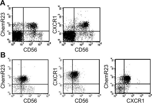 Figure 1. Expression of ChemR23 by CD56+ NK cells. Freshly isolated peripheral blood mononuclear cells (A) and freshly purified NK cells (B) were analyzed by 2-color immunofluorescence and flow cytometry for the expression of CD56, ChemR23 or CXCR1. This experiment is representative of at least 5 independent donors.
