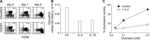 Figure 4. Down-regulation of ChemR23 in activated NK cells. Purified peripheral blood NK cells were cultured in the absence or presence of 100 U/mL IL-2 for various time and then assessed by 2-color immunofluorescence and flow cytometry for the expression of ChemR23 (upper panel A) or CXCR1 (lower panel A) in combination with CD56. This experiment is representative of 4 independent donors. (B) Real-time polymerase chain reaction (PCR) evaluation of ChemR23 expression in NK cells cultured with IL-2 or IL-15 (20 ng/mL) for 24 hours. One experiment representative of 3 is shown. (C) NK cells were cultured with medium (control) or with IL-2 for 4 days and then tested for their ability to migrate in response to chemerin. Results are the average values of 2 experiments.