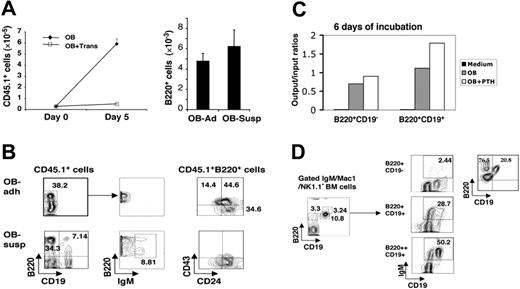 Figure 2. Primary osteoblasts stimulate BM B lymphopoiesis in vitro. (A) Hematopoietic proliferation during hematopoietic-osteoblast coculture is dependent on OB contact. (A, left-hand panel) Lin−Sca+ BM cells (CD45.1+) were isolated by FACS and cultured either directly on (CD45.2+) osteoblast monolayers (OB) or separated from osteoblast monolayers by a Transwell membrane (OB + Trans). (A, right-hand panel) Hematopoietic proliferation was nearly completely abrogated in the Transwell cultures, and no B220+ cells were produced. In the LS BM-OB contact cultures, 4% to 8% of all CD45.1+ cells produced were B220+, and these B220+ cells were found approximately equally portioned between cells adherent to the OB monolayer (OB-Ad) and nonadherent cells readily decanted from the suspension culture (OB-Susp). Data are shown as means ± SD; n = 4. (B) Flow cytometric analyses of B-lymphocyte precursors generated from Lin−Sca+ BM-osteoblast (non-Transwell) cocultures, recovered from both OB-adherent (OB-adh) and suspension cell (OB-susp) fractions. Nearly 80% of B220+ cells found adherent to the OB monolayer expressed CD24, 60% expressed CD43, and 44% were CD24+CD43+, but none expressed surface IgM. B220+ cells recovered from the culture supernatants expressed lower levels of CD43, and included (9%) B cells expressing surface IgM. (C) PTH stimulation increases the survival and proliferation of both B220+CD19− and B220+CD19+ cells in osteoblast cocultures. IgM−Mac1−NK1.1− (CD45.1+) BM cells were further FACS purified to isolate B220+CD19− and CD19−B220+CD19+ cells, which were then cultured with (CD45.2+) osteoblasts for 6 days in the presence or absence of PTH. At the end of the cultures, the cells were collected and cells with the phenotype of the input cells (B220+CD19− or B220+CD19+) were measured by flow cytometry. Data shown are expressed as the ratio of output/input B220+CD19− cells in the culture initiated with B220+CD19− cells (C, bars on left), or the ratio of output/input B220+CD19+ cells in the culture initiated with B220+CD19+ cells (C, bars on right). (D) Osteoblasts support B-lymphoid transitions from pre-pro B cells, pro-B cells, and B cells. Primary BM B220+CD19− pre-pro-B cells, B220+CD19+ pro-B cells, and B220++CD19+ pre-B cells were identified by flow cytometry and isolated by FACS, and each fraction was separately cultured with osteoblasts. Flow cytometric analysis after 5 days demonstrates further continued maturation in each of these compartments along B lymphopoiesis, including the acquisition of cell surface CD19 and/or IgM.