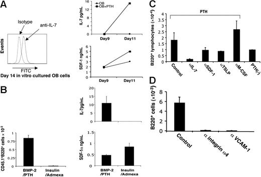 Figure 5. IL-7, SDF-1, and integrin α4/VCAM-1 ligation mediate the B generation from PTH-stimulated cocultures. (A, left-hand panel) Intracellular staining of IL-7 in osteoblasts cultivated in vitro. (A, right-hand panel) PTH treatment enhances the production of IL-7 and SDF-1 from osteoblast cultures. (B) Il-7 and SDF secretion, and B-cell differentiation are favored by PTH-driven osteogenesis and inhibited by induction of adipogenesis. CD45.2+ osteoblasts cultured in β-glycerol phosphate, ascorbate, and dexamethasone were digested and replated in either the same medium, or induced to adipocyte differentiation by the addition of 10−7 M dexamethasone and 10 μg/mL human insulin for 10 days. CD45.1+ LSK cells were added to each monolayer culture, and IL-7, SDF-1 secretion, and B220 cell production from the LSK cells measured on day 10 (mean ± SD; n = 3). (C) Inclusion of neutralizing antibody against IL-7, SDF-1, TSLP, or M-CSF in the coculture modulates the production of B220+ cells (means ± SD, n = 3). (D) Neutralizing antibody against integrin α4 or VCAM-1 inhibits the production of B220+ cells from coculture (means ± SD, n = 3).
