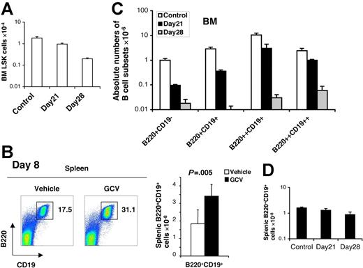 Figure 7. BM B-cell precursor depletion following GCV treatment of Col2.3Δ-TK transgenic mice precedes depletion of BM LSK cells and is not seen in the spleen. (A) Total LSK cells recovered from the BM (2 hind legs) of GCV-treated and control mice at day 21 and day 28 (means ± SD; n = 5). (B) Flow cytometric detection (left-hand panel) and total numbers (right-hand panel) of B220+CD19+ B lymphocytes in the spleens 28 days after treatment with vehicle or GCV (means ± SD, n = 5). (C-D) The absolute numbers of recovered BM B-lymphocyte subsets (C) (B220+CD19− pre-pro-B, B220+CD19+ pro-B, B220++CD19+ and B220++CD19++ pre-B, and immature B cells), as well as those of splenic mature B cells (D) at day 21 and day 28 after GCV treatment (means ± SD, n = 4).