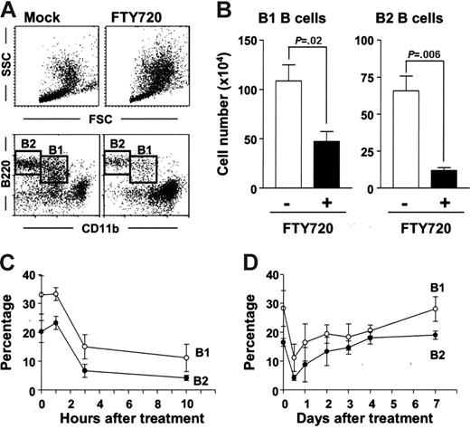 Figure 1. Rapid but reversible disappearance of peritoneal B cells induced by FTY720. (A) PerC cells were isolated 10 hours after injection of FTY720 (right) or mock (left), and cell populations were analyzed using flow cytometry. The data are representative of 5 independent experiments. (B) Cell numbers of B220+CD11b+ B1 B cells and B220+CD11b− B2 B cells were calculated by using the total cell number and flow cytometric data. The error bars are ± SEM (n = 5). (C-D) At each time point after FTY720 injection, PerC cells were analyzed by flow cytometry (○, B220+CD11b+ B1 B cells; •, B220+CD11b− B2 B cells). The data represent the mean ± SD (n = 4).