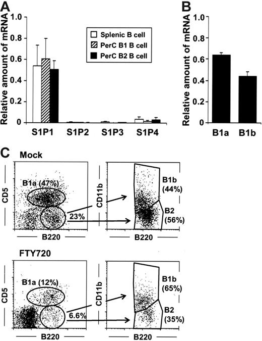 Figure 2. Equal expression of S1P1 by peritoneal B1 and B2 B cells. (A) Quantitative RT-PCR analysis for S1P receptors was performed using RNA isolated from sorted splenic B (□), peritoneal B1 (▨), and B2 (▪) B cells. The relative quantity of specific mRNA was expressed as a ratio to GAPDH. The data are expressed as mean ± SD from 4 mice. (B) S1P1 expression in B1a and B1b cells was determined by quantitative RT-PCR analysis. (C) Flow cytometric analysis was performed to characterize B1a, B1b, and B2 B cells in the PerC of mice treated with FTY720. The data are representative of 3 independent experiments.