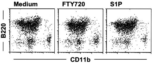 Figure 3. FTY720 does not affect peritoneal B-cell differentiation and viability. PerC cells were cultured with 100 nM FTY720 or S1P for 3 days. Cell populations were examined by flow cytometry using antibodies specific for B220 and CD11b. Results were reproducible, with very similar data obtained from each of 3 independent experiments.