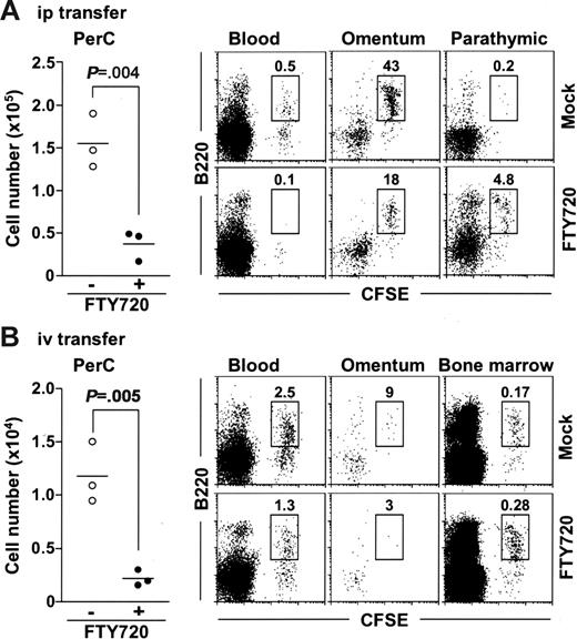 Figure 4. FTY720 simultaneously inhibits their emigration from the parathymic lymph nodes and their entrance from the blood into the PerC. SCID mice were adoptively transferred with CFSE-labeled normal PerC B cells via the intraperitoneal (A) or the intravenous (B) route, and simultaneously treated with (• or bottom panels) or without (○ or top panels) FTY720. After 12 hours, cells were isolated from the PerC, blood, omentum, parathymic lymph nodes, and bone marrow for the analysis of CFSE+ cells. Horizontal bars represent the mean.