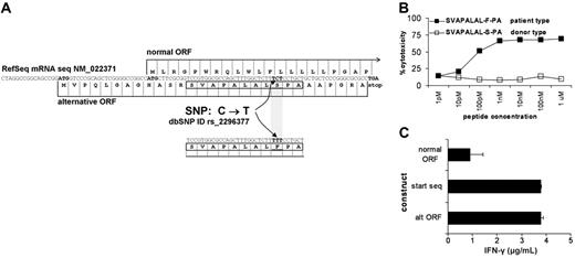 Figure 2. Identification of ADIR as the polymorphic gene responsible for RDR2 recognition. BLAST searching of SVAPALALFPA against a translated EMBL database revealed 100% identity to amino acids 13 to 23 from an alternative ORF of the ADIR gene. A known SNP at nucleotide 78 results in an amino acid change from S>F. (A). Both patient-type peptide SVAPALAL-F-PA (▪) and donor-type peptide SVAPALAL-S-PA (□) were synthesized and tested for RDR2 reactivity on T2 cells in a 51Cr release assay. Only cells loaded with the patient-type peptide but not cells loaded with the donor-type peptide were lysed (B). Constructs containing patient-derived DNA were generated. The start of each construct was varied to obtain translation at the start of the transcript, resulting in both the normal and the alternative ORF or specific translation of only the normal or alternative ORF. Constructs were transiently transfected into Hela/A2 cells. RDR2 was cocultured for 24 hours, and IFN-γ release in supernatants was measured by ELISA. RDR2 stimulation was observed in all cases. Stimulation by constructs containing only the normal ORF start codon and lacking the alternative ORF start codon showed strongly diminished CTL recognition (C). Similar constructs containing the donor-derived DNA were not recognized by RDR2 (data not shown).