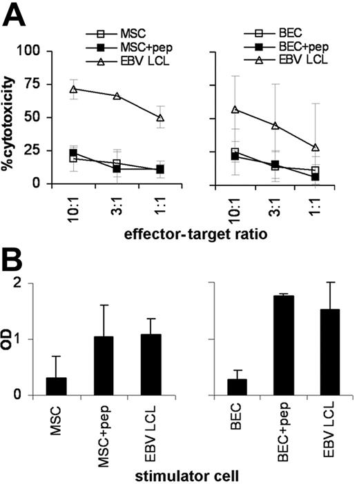Figure 5. Recognition of normal nonhematopoietic cells by LB-ADIR-1F–specific CTLs. Recognition of LB-ADIR-1F–expressing HLA-A2–positive MSCs (A,C) and BECs (B,D) by CTL RDR2 was studied in 3 separate 4-hour 51Cr release assays and in 3 separate IFN-γ secretion assays. Lysis of untreated target cells (□) and target cells exogeneously pulsed with saturating concentrations of synthetic peptide (▪) was compared with lysis of patient EBV-LCLs (▵) (A,B). IFN-γ secretion by CTL RDR2 was measured after 24 hours of cocultivating CTL RDR2 at a 3:1 responder-stimulator ratio with untreated cells, peptide-pulsed cells, and patient EBV-LCLs (C,D). Data are shown as mean values ± SD.