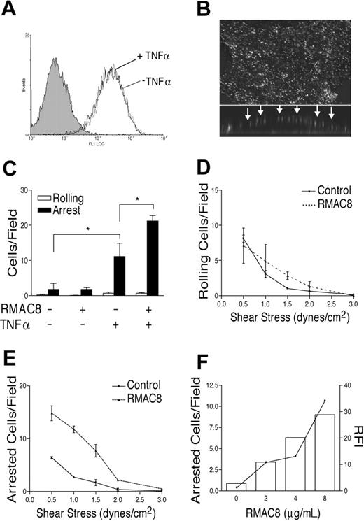 Figure 1. IgG binding to ECs augments TNFα-mediated leukocyte recruitment. (A) Mouse antiendoglin mAb RMAC8 (10 μg/mL) was perfused over HMEC-1 cells at 0.83 mL/minute for 5 minutes, after which antibody binding was detected by flow cytometry using FITC rabbit anti–mouse Ig. The figure shows similar mAb RMAC8 binding to unstimulated (black line) and TNFα (10 ng/mL, 5 hours)–activated HMEC-1 cells (gray line). The filled histogram shows lack of binding of control mAb MOPC21. (B) Confirmation by confocal imaging of the deposition of RMAC8 on the surface of an EC, with the main panel showing composite images of Z-stack views and the lower insert showing cell cross-section. Arrows point to deposition of antibody on the apical surface. (C) PMNs were perfused at 1.5 dynes/cm2 over ECs precoated with ± RMAC8, with or without prestimulation with TNFα. The figure shows that mAb RMAC8 enhanced PMN adhesion, but only if ECs were TNFα activated. Values are mean + SEM of 3 experiments (*P < .01). HL60 cell rolling (D) and arrest (E) on TNFα-stimulated ECs, showing increased arrest but not rolling on mAb RMAC8-coated ECs over a range of 0.5 to 1.5 dynes/cm2; (F) shows that increasing RMAC8 deposition resulted in increasing HL60 cell arrest on TNFα-stimulated ECs. Relative fluorescent intensities of RMAC8 binding by flow cytometry are depicted by the line (right axis), with HL60 arrest shown in bars (left axis).