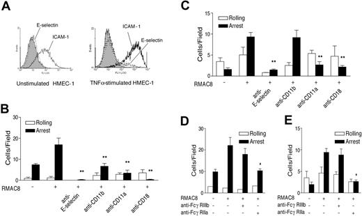Figure 2. IgG-enhanced leukocyte recruitment requires E-selectin and β2 integrins. (A) Flow cytometry showing basal expression of E-selectin (mAb 1.2B6, dotted line) and ICAM-1 (mAb 6.5B5, black line) and increased expression following TNFα stimulation (10 ng/mL for 4 hours). The filled histograms show lack of reactivity of control mAb MOPC21. (B-E) Inhibition of RMAC8-mediated PMN (B,D) and HL60 cell (C,E) adhesion at 1.5 dynes/cm2 to TNFα-stimulated ECs by (B,C) anti-E-selectin (mAb SPLAT-1), anti-β2 integrin (mAb TS1/18), anti-αL (mAb TS1/22), or anti-αM (mAb 44), or (D,E) anti-FcγRIIa (IV.3), but not by fab′ anti-FcγRIIIb (3G8). Values are mean ± SEM of 3 experiments (*P < .01, **P < .03).