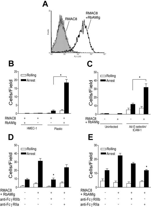 Figure 5. Assembly of immune complexes on the surface of ECs results in FcγRIIIb-mediated PMN recruitment. (A) Rabbit anti–mouse Ig (RbAMIg; 1:250) was perfused at 0.83 mL/minute for 5 minutes after perfusion of mAb RMAC8, after which deposition on the surface of ECs was demonstrated by staining with FITC-conjugated goat anti–rabbit-Ig by flow cytometry. The profiles are for HMEC-1 perfused with RMAC8 (filled line), RbAMIg alone (gray line), or RMAC8 followed by RbAMIg (black line). (B) PMNs were perfused at 1.5 dynes/cm2 over unstimulated HMEC-1 cells precoated with mAb RMAC8 alone or with mAb RMAC8 followed by RbAMIg, or over plastic coated with mAb RMAC8 (50 μg/mL) followed by RbAMIg (50 μg/mL). Immune complexes enhanced PMN arrest when coated on plastic but not when presented by ECs (*P < .001. (C) RMAC8 + RbAMIg stimulated PMN arrest at 1.5 dynes/cm2 on resting ECs infected with adE-selectin (100 MOI) and adICAM-1 (50 MOI) (*P < .005), and (D) this was inhibited by fab′ anti-FcγRIIIb (3G8) but not by anti-FcγRIIa (IV.3) on PMNs (*P < .01). (E) In contrast, RMAC8 + RbAMIg stimulated PMN adhesion at 1.5 dynes/cm2 to TNFα-stimulated ECs was inhibited by anti-FcγRIIa, but not significantly by anti-FcγRIIIb (*P < .004). All values are mean + SEM of 3 experiments.