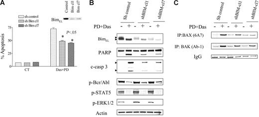 Figure 4. Knockdown of BIM by shRNA protects cells from PD/dasatinib-mediated lethality. K562 cells were stably transfected with shRNA-Bim or shRNA-control constructs in a pSUPER.retro vector as described in “Materials and methods.” Two clones displaying reduced endogenous expression of Bim were isolated and used in subsequent experiments. (A) K562 cells with sh-control, sh-Bim-cl1, or sh-Bim-cl7 were exposed to PD/Das for 48 hours, after which the percentage of apoptosis was determined by annexin-V/PI. * denotes significantly less than values obtained for empty vector cells (P < .05). All values represent the means ± SD for duplicate determinations performed on 3 separate occasions. (B) Cells were exposed to PD/Das for 24 hours, after which the cells were subjected to Western blot analysis using the indicated antibodies. Each lane was loaded with 25 μg protein. Blots were stripped and reprobed with antitubulin antibody to ensure equal loading and transfer of protein. Two additional experiments yielded equivalent results. (C) Cells were lysed, Bax and Bak were immunoprecipitated, and Western blot analysis was used to detect Bax and Bak conformational changes using 6A7 and Ab-1 detection antibodies as described in “Materials and methods.” Values represent 3 separate experiments.