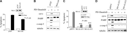Figure 5. Enforced expression of Mcl-1 or Bcl-xL protects cells from PD/dasatinib-mediated lethality. (A) K562/pCEP and K562/Mcl-1/cl9 cells were exposed to PD (5 μM) and dasatinib (0.6 nM) for 48 hours, after which the percentage of apoptotic cells was determined by annexin-V/PI. ** denotes significantly less than values obtained for empty vector cells (P < .05). (B) Cells were exposed to PD/dasatinib for 24 hours, and then the whole cells were lysed and subjected to WB analysis using the indicated primary antibodies. (C) Similarly, K562/pSFFV, K562/Bcl-xL/cl-11, and K562/Bcl-xL/cl-12 cells were exposed to PD/dasatinib for 48 hours, after which the percentage of apoptosis was determined. *** denotes significantly less than values obtained for empty vector cells (P < .001). (D) Cells were exposed to PD/dasatinib for 24 hours, after which the cytosolic fraction was extracted and WB used to monitor cyt-c release. Alternatively, whole cells were lysed and subjected to WB analysis using the indicated primary antibodies. For all studies, each lane was loaded with 25 μg protein; blots were stripped and reprobed with antitubulin antibody to ensure equal loading and transfer of protein. For all studies, 2 additional experiments yielded equivalent results.