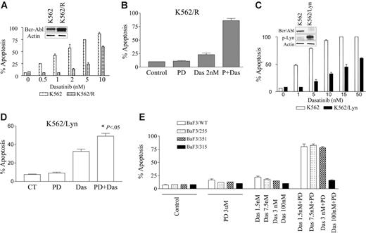 Figure 6. Effect of PD184352/dasatinib in imatinib-resistant Bcr/abl+ leukemia cells. (A) K562 and K562/R cells, which display increased expression of Bcr/Abl (inset), were cultured in the presence of varying concentrations of imatinib or dasatinib for 48 hours. (B) K562/R cells were treated with 2 nM dasatinib with or without 5 μM PD for 48 hours, after which apoptosis was determined by annexin-V/PI analysis. (C) K562 and K562/Lyn cells, which display increased expression of p-Lyn and diminished expression of Bcr/Abl (inset), were cultured in the presence of the indicated concentrations of dasatinib for 48 hours, after which apoptosis was determined. (D) K562/Lyn cells were exposed to 5 μM PD184352 with or without 10 nM dasatinib for 48 hours, after which apoptosis was monitored by annexin-V/PI analysis (* denotes significant increase compared with drug treated alone; P < .05.) (E) Wild-type and mutant Brc-Abl/BaF3 cells were exposed to 3 μM PD184352 with or without 1.5 nM to 100 nM dasatinib alone or in combination for 24 hours, after which the percentage of apoptotic cells was determined by annexin-V/PI analysis. All values represent the means ± SD for duplicate determinations performed on 3 separate experiments.