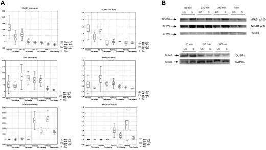 Figure 5. RNA and protein expression changes after BCR crosslinking. (A) Temporal expression of 3 representative genes (DUSP1, EGR2, NFκB1) in healthy B cells and CLL B cells assessed by gene expression profile and by RQ-PCR analysis. (B) Immunoblot analysis of NFκB1 and DUSP1 proteins in representative CLL sample. For immunoblot analysis, cell lysates were prepared from negatively isolated fresh primary B CLL cells (US or S) at 3 to 4 different time points after BCR stimulation (60, 210, and 390 minutes and 16 hours). Thirty micrograms of protein lysate from each sample was loaded onto a separate lane of SDS-polyacrylamide gel. The immunoblot was probed with anti-NFκB1 antibody to detect NFκB1 p50 protein and its p105 precursor protein (labeled arrows, left). Blots were reprobed with Tim 23 or GAPDH antibody as control (labeled arrow, bottom). The molecular mass of protein standards is shown.