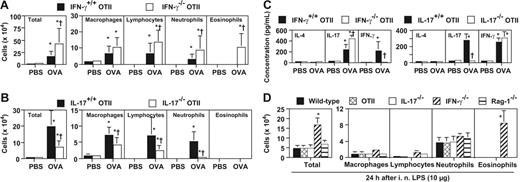 Figure 3. IL-17 promotes, but IFN-γ suppresses, neutrophilic airway inflammation. Mice were treated with 50 μg of OVA or PBS intranasally for 3 days (once per day) (A-C) or 10 μg of LPS intranasally (D). Cells in BALF were quantified 24 hours after the last OVA, PBS, or LPS inhalation. (A) OVA or PBS-challenged IFN-γ+/+ OTII mice (PBS, n = 16; OVA, n = 21), and IFN-γ−/− OTII mice (PBS, n = 6; OVA, n = 14). (B) OVA- or PBS-challenged IL-17+/+ OTII mice (PBS, n = 12; OVA, n = 14), and IL-17−/− OTII mice (PBS, n = 7; OVA, n = 14). (C) Cytokine levels in BALF obtained 24 hours after the last OVA or PBS inhalation in mice shown in panels A and B. (D) LPS-challenged wild-type mice (n = 15), OTII mice (n = 7), IL-17−/− mice (n = 15), IFN-γ−/− mice (n = 12), and Rag-1−/− mice (n = 7). *P < .01 versus corresponding values for PBS-treated mice; †P < .01 versus corresponding values for OVA-treated IFN-γ+/+ OTII mice (A,C) or OVA-treated IL-17+/+ OTII mice (B,C). *P < .01 versus corresponding values for LPS-treated mice of any other genotype (D). Data are the average + SD of results pooled from 2 or 3 independent experiments, all of which gave similar results.