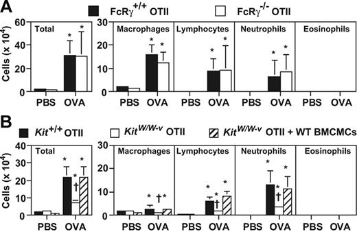 Figure 5. Mast cells, but not FcRγ-dependent signaling, promote Th17-mediated neutrophilic airway inflammation. Mice were treated with 50 μg of OVA or PBS intranasally for 3 days (once per day). Cells in BALF were quantified 24 hours after the last OVA or PBS inhalation. (A) FcRγ+/+ OTII mice (PBS, n = 8; OVA, n = 14), and FcRγ−/− OTII mice (PBS, n = 7; OVA, n = 14). (B) Kit+/+ OTII mice (PBS, n = 18; OVA, n = 24), KitW/W-v OTII mice (PBS, n = 7; OVA, n = 14) and KitW/W-v OTII mice which were systemically engrafted with Kit+/+ BMCMCs (KitW/W-v OTII + WT BMCMCs) (PBS, n = 7; OVA, n = 14). *P < .01 versus corresponding values for PBS-treated mice; †P < .01 versus corresponding values for OVA-treated Kit+/+ OTII mice or OVA-treated KitW/W-v OTII mice plus WT BMCMCs (B). Data are the average + SD of results pooled from 3 independent experiments, all of which gave similar results.
