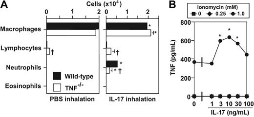 Figure 6. TNF is required for IL-17–induced neutrophil influx in the lungs. (A) Cells in BALF were quantified 8 hours after intranasal treatment of mice with PBS or rmIL-17 (10 μg). Wild-type mice (PBS, n = 5; IL-17, n = 4) and TNF−/− mice (PBS, n = 5; IL-17, n = 4). Data are the average + SD of results pooled from 2 independent experiments, each of which gave similar results. *P < .01 versus corresponding values for PBS-treated mice; †P < .01 versus corresponding values for IL-17–treated wild-type mice. (B) TNF levels in culture supernatants of BMCMCs that were stimulated with ionomycin in the presence of various concentration of rmIL-17 for 6 hours. Data are the average ± SD of triplicate determinations in 1 of 3 independent experiments, all of which gave similar results (because the SDs were very small, the bars indicating the SDs are obscured by the symbols). *P < .01 versus corresponding values for the cells incubated without rmIL-17 (0 ng/mL).