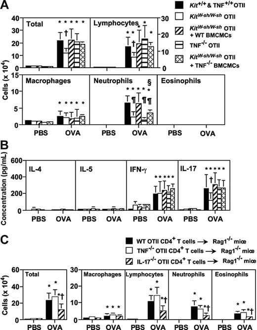 Figure 7. Mast cell–derived TNF, but not T-cell–derived TNF, contributes to Th17 cell–mediated neutrophilic airway inflammation. (A-B) Mice were treated with 50 μg of OVA or PBS intranasally for 3 days (once per day). Cells (A) and cytokine levels (B) in BALF were quantified 24 hours after the last inhalation of OVA. Kit+/+ and wild-type OTII mice (PBS, n = 11; OVA, n = 15), KitW-sh/W-sh OTII mice (PBS, n = 13; OVA, n = 18), KitW-sh/W-sh OTII mice that were systemically engrafted with wild-type BMCMCs (KitW-sh/W-sh OTII + WT BMCMCs) (PBS, n = 5; OVA, n = 11), TNF−/− OTII mice (PBS, n = 9; OVA, n = 15) and KitW-sh/W-sh OTII mice that were systemically engrafted with TNF−/− BMCMCs (KitW-sh/W-sh OTII + TNF−/− BMCMCs) (PBS, n = 6; OVA, n = 11) (A-B). Data are the average + SD of results pooled from 3 independent experiments, all of which gave similar results. *P < .01 versus corresponding values for PBS-treated mice; †P < .05 versus corresponding values for each of the 3 other OVA-treated groups; ¶P < .01 versus corresponding values for OVA-treated Kit+/+ and wild-type OTII mice and KitW-sh/W-sh OTII mice plus WT BMCMCs; and §P < .05 versus corresponding values for OVA-treated TNF−/− OTII mice. (C) Rag-1−/− mice were injected intravenously with wild-type (WT), TNF−/−, or IL-17−/− OTII CD4+ T cells, and then the mice were treated with 50 μg of OVA or PBS intranasally for 3 days (once per day). Cells in BALF were quantified 24 hours after the last inhalation. WT OTII CD4+ T-cell–injected Rag-1−/− mice (PBS, n = 6; OVA, n = 10), TNF−/− OTII CD4+ T-cell–injected Rag-1−/− mice (PBS, n = 6; OVA, n = 10), and IL-17−/− OTII CD4+ T-cell–injected Rag-1−/− mice (PBS, n = 6; OVA, n = 8). Data are the average + SD of results pooled from 2 independent experiments, each of which gave similar results. *P < .01 versus corresponding values for PBS-treated mice; †P < .05 versus corresponding values for OVA-treated WT OTII CD4+ T-cell–injected Rag-1−/− mice or TNF−/− OTII CD4+ T-cell–injected Rag-1−/− mice.