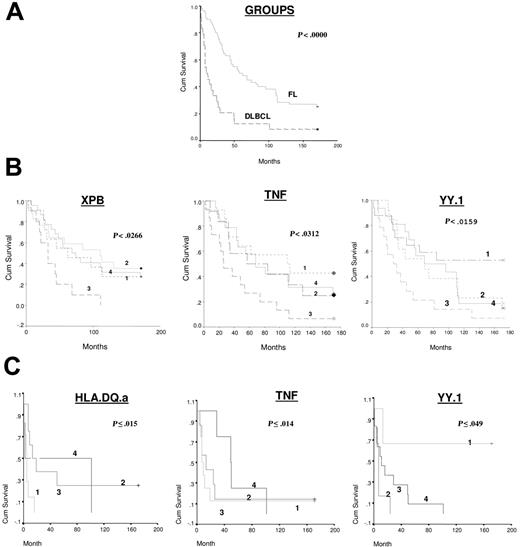 Figure 6. Kaplan-Meir survival analysis. Analysis was of (A) FL versus DLBCL; (B) FL (group 1) based on gene expression level, data shown for significant indicator genes, namely XPB, TNF, and YY.1; (C) DLBCL (group 2) based on gene expression level, data shown for significant indicator genes, namely HLA.DQ.a, TNF, and YY.1. The data for each gene were grouped into 4 quartiles for use in Kaplan-Meir survival analysis, and these are indicated in the survival curves as 1 = first quartile, 2 = second quartile, 3 = third quartile, and 4 = fourth quartile; first quartile used for lower end of gene expression for each gene.