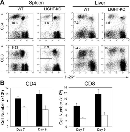 Figure 2. Diminished LIGHT-KO donor T cells in BDF1 recipient mice. (A) BDF1 mice were injected intravenously with 5 × 107 spleen cells from WT or LIGHT-KO B6 mice. After 9 days, spleen and liver from the BDF1 recipients were harvested and stained with anti–H-2Kd mAb, together with either anti–CD4 or anti–CD8 mAb. Percentage of donor (H-2Kd-negative) CD4+ or CD8+ T cells in total spleen or liver lymphocytes is shown in the panels. (B) As in panel A, absolute numbers of donor T cells in the recipient spleen were examined at 7 and 9 days after donor cell transfer. Each column shows the number of WT donor T cells (▪) or LIGHT-KO donor T cells (□) as average ± SD. Representative data of 5 independently performed experiments are shown.