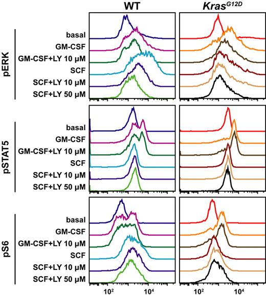 Figure 5. Effects of the PI3 kinase inhibitor LY294002 on pERK, pSTAT5, and pS6 activation. WT and Mx1-Cre, KrasG12D c-kit+ lin−/low cells that were incubated for 30 minutes in the presence of LY294002 (LY) were stimulated with GM-CSF (10 ng/mL) or SCF (100 ng/mL) for 10 minutes and analyzed by multi-parameter FACS. Identical results were obtained in 2 independent experiments.