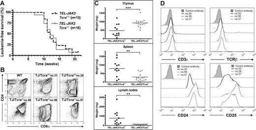 Figure 2. T-cell leukemia development in Tcra-deficient TEL-JAK2 transgenic mice. (A) Kaplan-Meier leukemia-free survival curves for EμSRα-TEL-JAK2 transgenic mice deficient or not for the Tcra gene show no statistically significant differences. Mice were monitored for disease as described in “Materials and methods.” The number of mice in each group is given in parentheses. (B) Three representative TEL-JAK2/Tcra−/− transgenic tumors (nos. 50, 56, and 57), 2 representative TEL-JAK2/Tcra+/− tumors (nos. 31 and 35), and control thymocytes were double-stained with CD4 and CD8α antibodies and analyzed by flow cytometry. (C) Thymus, spleen, and lymph node weights were determined for Tcra+/− (n = 12) and Tcra−/− (n = 15) TEL-JAK2 transgenic mice. **P < .01; ***P < .001 (unpaired t test). Average organ weight is indicated by horizontal bars. (D) Cell surface immunostaining of 3 representative TEL-JAK2 tumor cases (nos. 50, 56, and 57) using antibodies against CD3ϵ, TCRβ, CD24, and CD25 or an isotypic control monoclonal antibody.