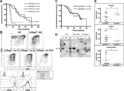 Figure 3. T-cell leukemia development in pre-TCR–deficient TEL-JAK2 transgenic mice. (A) Kaplan-Meier leukemia-free survival curves for EμSRα-TEL-JAK2 transgenic mice deficient or not for the Rag2 or Ptcra genes. The number of mice in each group is given in parentheses. The survival curves of Rag2- or Ptcra-deficient mice and the respective heterozygous littermates were significantly different (log-rank test, P < .001). Mice deceased from unrelated causes were censored in the analysis (tick marks). (B) Representative Rag2+/− (no. 25) and Rag2−/− (nos. 12, 22, and 1078) TEL-JAK2 leukemic cells and control thymocytes were double-stained with CD4 and CD8α antibodies (top panels) or stained with CD24 and CD25 antibodies (bottom panels) and analyzed by flow cytometry. (C) Kaplan-Meier T-cell leukemia survival curves for Cd3e−/− and Rag2−/− EμSRα-TEL-JAK2 mice. Mice deceased from B-cell lymphoma or other causes were censored in the analysis (tick marks). Note that no statistically significant difference in survival was observed between the 2 groups of mice (P = .98). (D) Tcrb locus Southern blot analysis of leukemic cell gDNA from Cd3e−/− (nos. 71, 74, and 58) and Cd3e+/+ (nos. 77 and 80) TEL-JAK2 thymic tumors. DNA obtained from wild-type liver (Liv), spleen (Spl), and thymus (Thy) was used as control. GL indicates the germline configuration and asterisks point to the distinct Tcrb locus clonal rearrangements. (E) Thymus, spleen, and lymph node weights were plotted for Cd3e+/− (n = 12) and Cd3e−/− (n = 10) TEL-JAK2 transgenic mice that developed T-cell leukemia/lymphoma. *P < .05 (unpaired t test). Average organ weight is indicated by horizontal bars.