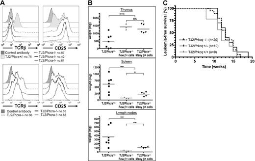 Figure 4. The pre-TCR cooperative role in TEL-JAK2 leukemogenesis cannot be replaced by TCRαβ expression and it does not require PKCθ. (A) Cell surface immunostaining of one TEL-JAK2/Ptcra+/− (no. 75) and 6 TEL-JAK2/Ptcra−/− (nos. 42, 61, 63, 66, 87, and 88) representative tumor cases using antibodies against CD25 and TCRβ or an isotypic control antibody. (B) Thymus, spleen, and lymph node weights were plotted for Ptcra+/− (n = 7) and Ptcra−/− TEL-JAK2 transgenic mice showing CD8+ T-cell leukemia containing a low (n = 3) or high (n = 5) percentage of TCRβ+ cells. NS indicates not significant; *P < .05; **P < .01; ***P < .001 (unpaired t test). Average organ weight is indicated by horizontal bars. (C) Kaplan-Meier leukemia-free survival curves for EμSRα-TEL-JAK2 transgenic mice deficient or not for Prkcq show no statistically significant differences. The number of mice in each group is given in parentheses.