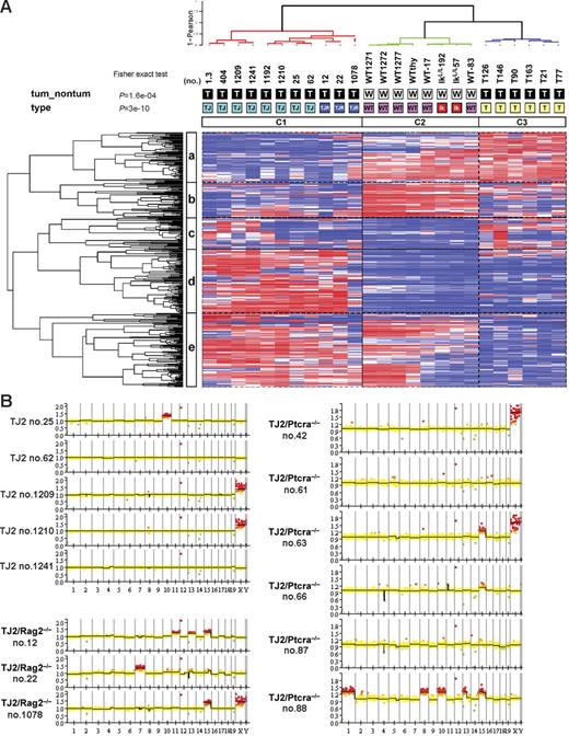 Figure 5. Global gene expression and genomic analyses of pre-TCR–deficient and pre-TCR–proficient TEL-JAK2 T-cell leukemias. (A) Representative unsupervised hierarchical clustering of TEL-JAK2 (TJ, light-blue), TEL-JAK2/Rag2−/− (TJR, dark-blue), and IkarosL/L (T, yellow) tumors and wild-type (WT, pink) and preleukemic IkarosL/L (Ik, red) thymocytes using the top 5% most varying probe sets (n = 354) across all 25 samples, resulting in 3 major groups (C1, C2, and C3). Hues of red and blue indicate higher and lower levels of relative fluorescence signal, respectively. Samples and genes were clustered using the Ward linkage and 1-Pearson coefficient of correlation as the distance metric. Sample annotations indicating the tumor samples (T in black box) and nontumor (W in white box) samples are shown below the sample dendrogram. P values correspond to a global Fisher exact test. Gene clusters are labeled a to e. (B) Array-based CGH ideograms of 5 TEL-JAK2 (TJ2), 3 TEL-JAK2/Rag2−/− (TJ2/Rag2−/−), and 6 TEL-JAK2/Ptcra−/− (TJ2/Ptcra−/−) tumors. Chromosomes are listed in numerical order from left to right. Red squares above zero on the y-axis represent genomic gains (ratio > 1.2), whereas green squares below zero indicate losses (ratio < 0.8) relative to the diploid control. The yellow squares indicate the absence of numerical alterations relative to the diploid control. X chromosome profiles should be discounted because some lymphomas were derived from female mice and the reference DNA was obtained from a wild-type C57BL/6 male mouse.