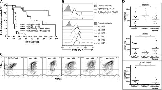 Figure 6. Transgenic TCRαβ overexpression rescues the delay in T-cell leukemia development induced by Rag2 deficiency in TEL-JAK2 transgenic mice. (A) Kaplan-Meier leukemia-free survival curves for Rag2-deficient EμSRα-TEL-JAK2 Marylin TCR double-transgenic female (Fem) and male mice. The survival curves for EμSRα-TEL-JAK2 transgenic mice bred with Rag2-deficient mice (shown in Figure 3A) are depicted for comparison. The number of mice in each group is given in parentheses. Mice deceased from unrelated causes were censored in the analysis (tick marks). (B) Vβ6 TCR expression in representative Rag2-deficient EμSRα-TEL-JAK2 Marylin TCR double-transgenic females (bottom panel). As a control, Vβ6 TCR expression levels in CD4/CD8 double-positive (DP) and CD4 single-positive (CD4SP) thymocytes from Rag2-deficient Marylin transgenic female are shown (top panel). (C) CD4/CD8 costaining in representative Rag2-deficient EμSRα-TEL-JAK2 Marylin TCR double-transgenic females (nos. 1001, 1021, 1029, 1030, and 1033) and a Marylin/Rag2−/− female. (D) Thymus, spleen, and lymph node weights were determined for Rag2+/− (n = 9), Rag2−/− (n = 8), and Marylin/Rag2−/− (n = 14) TEL-JAK2 transgenic mice. *P < .05; **P < .01 (unpaired t test). Average organ weight is indicated by horizontal bars.