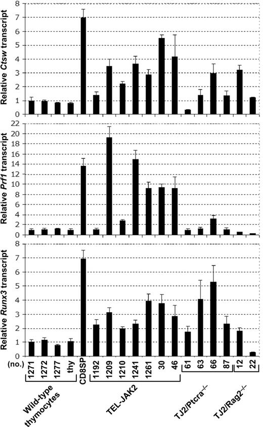 Figure 7. Leukemic cells from TEL-JAK2 transgenic mice express CD8 lineage-associated genes. Quantitative RT-PCR analysis of Ctsw, Prf1, and Runx3 mRNA levels normalized for Hprt expression performed for 4 independent wild-type thymocyte samples, wild-type CD8 SP splenocytes, and thymic leukemic cells from the indicated transgenic TEL-JAK2, TEL-JAK2/Ptcra−/− and TEL-JAK2/Rag2−/− mice. Means and standard deviations were calculated as described in “Materials and methods.”
