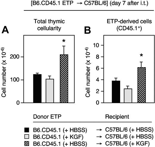 Figure 4. Non–cell-autonomous effect of KGF on early thymic progenitors. ETPs (Lin−CD44+CD25−CD117hi cells) were purified on day 6 after initiation of treatment of B6.CD45.1 donors (CD45.1+) that had received KGF (5 mg/kg per day, ⊡) or HBSS (▪, ▨) on days 0, 1, and 2. Afterward, ETPs (1 × 103) from either group were transferred separately to a single thymic lobe of adult C57BL/6 recipients (CD45.2+) that had received 15 days earlier either HBSS (▪, ⊡) or KGF (5 mg/kg per day, ▨) on 3 consecutive days. The panels depict recipient thymic total cellularity (A) and CD45.1+ congenic ETP progeny (B) that were determined 7 days after intrathymic (i.t.) injection. Mean ± SD; *P < .001 versus HBSS controls (black bars), with 5 mice per group and time point.