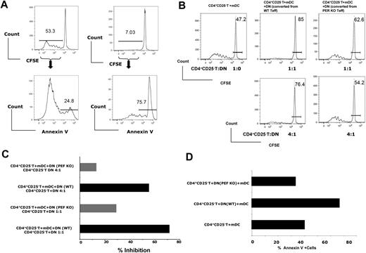 Figure 5. DN T cells enhance AICD of proliferated CD4+ T cells, and perforin plays a role in DN T-cell–mediated cell death. (A) Annexin V staining of C57BL/6 CD4+ T cells stimulated by mature DBA/2 DCs. C57BL/6 DN T cells greatly increased the annexin V+ frequency in proliferating C57BL/6 CD4+ T cells. In the upper panels, the horizontal bars gate the dividing cells, and the numbers refer to the percentage of these cells; in the lower panels, the horizontal bars gate annexin V staining positive cells, and the numbers refer to the percentages of these cells. (B) CFSE-labeled C57BL/6 (CD45.1) CD4+CD25− T cells were stimulated by mature DBA/2 DCs. The suppressor function of C57BL/6 DN T cells converted from wild-type and perforin KKO mice was compared. Results shown here represent 3 independent experiments. The horizontal bars gate the nondividing cells, and the numbers refer to the percentages of these cells. (C) DN T-cell–mediated suppression of CD4+CD25− T cell proliferation was attenuated in the absence of perforin. Results shown here are means of 3 independent experiments. (D) Annexin V staining of C57BL/6 CD4+CD25− T cells stimulated by mature DBA/2 DCs. DN T cells converted from wild-type, but not perforin KO C57BL/6 mice greatly increased the annexin V+ population in proliferating C57BL/6 CD4+ T cells.