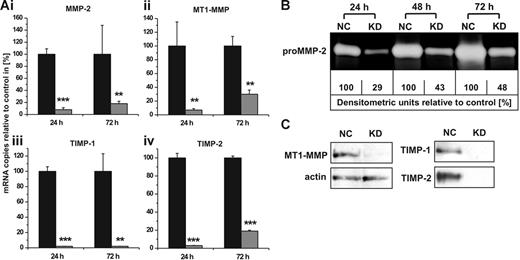 Figure 3. MMP/TIMP knock-downs in hMSCs: effect on mRNA and protein levels. (A) hMSCs were transfected with siRNAs targeting the gene expression of MMP-2 (i), MT1-MMP (ii), TIMP-1 (iii), or TIMP-2 (iv). Control cells were transfected with non–target-directed siRNA (set as 100%). Transcription of specific mRNAs was quantified by qRT-PCR 24 and 72 hours after siRNA transfection. Data represent the mean ± SD of a triplicate measurement representative for 5 transfection experiments. ***P < .001, **P < .01. (B) hMSCs transfected with non–target-directed control siRNA (NC) or with siRNA against MMP-2 (KD) were cultivated under serum-free conditions and analyzed for secreted proMMP-2 after different time intervals by zymography. For densitometric quantification, enzyme release from control cells transfected with non–target-directed siRNA was set as 100% at each time point. (C) Western blotting analysis of protein extracts obtained from hMSCs 72 hours after transfection with control siRNA (NC) or with siRNA against MT1-MMP (KD). Cellular actin was detected on the same blot to control for application of equal amounts of protein in each lane. TIMP-1 and TIMP-2 secretion from hMSCs carrying the respective knock-downs (KD) or control siRNA (NC) was examined by Western blotting of 72-hour culture supernatants. Protein data are representative of 3 independent experiments with similar results.
