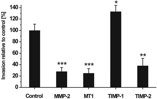Figure 4. Effect of MMP/TIMP knock-downs on hMSC invasion. hMSCs carrying knock-downs for the expression of MMP-2, MT1-MMP (MT1), TIMP-1, and TIMP-2 were assessed for their ability to traverse human ECM. The hMSCs were applied in the Transwell invasion assay 24 hours after their transfection and incubated for 48 hours. Thereafter, cells that had migrated to the lower chamber were counted. Control cells transfected with non–target-directed siRNA were set as 100%. Data are presented as mean ± SD of 1 triplicate experiment representative of 3 independent measurements. ***P < .001, **P < .01, *P < .05.