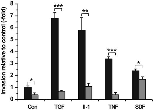 Figure 6. Chemotactic importance of cytokines/chemokine on hMSC invasion and the implication of MMPs. hMSCs were seeded in the upper compartment of Transwell cell invasion chambers. The lower compartment was filled with DMEM containing TGF-β (100 ng/mL), IL-1α (50 ng/mL), TNF-α (50 ng/mL), or SDF-1α (100 ng/mL) as chemoattractants. Control wells contained DMEM medium only (Con). Both upper and lower compartments were provided without (▪) and with Ro 206-0222 (10 μg/mL) to inhibit MMP-2, MMP-9, and MT1-MMP activity (⊡). After a 48-hour period of incubation the amount of migrated cells was quantified. Results are given in fold increase relative to spontaneous cell migration in control wells. All experiments were performed in triplicate. The mean values ± SDs of 1 of 2 separate experiments are shown. *P < .05, **P < .01, ***P < .001.
