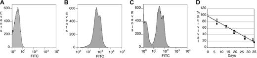 Figure 4. Red blood cells from Tg+ mice have normal survival rates. (A) Background FITC signal from unstained peripheral blood cells collected from a representative Tg− mouse on day 0. (B) FITC signal from in vivo biotin-conjugated peripheral blood cells of the same mouse stained with Alexa-488 strepavidin on day 0. (C) At day 21, 2 populations (older, biotin-conjugated peripheral blood cells and newer, unstained peripheral blood cells) of peripheral blood cells were identified in the same mouse. (D) The survival of peripheral blood cells from Tg+ mice (n = 3, open circles, average shown in gray circle, solid line) did not differ from that of Tg− mice (n = 4, closed squares, average shown in gray square, dotted line).