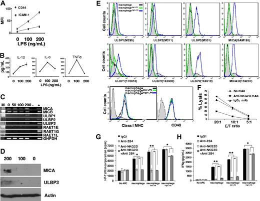 Figure 5. High doses of LPS caused a distinct macrophage phenotype including protein expression of NKG2D ligands that trigger NK cell–mediated lysis. (A) Macrophages or macrophages incubated with 100 or 200 ng/mL LPS for 48 hours (denoted 0, 100, 200 respectively) were stained with anti-CD54 mAb or anti-CD44 mAb and analyzed by flow cytometry. (B) Cytokines secreted into the supernatant by macrophages stimulated with different doses of LPS for 48 hours. (C) Macrophages that were incubated with different amounts of LPS for 48 hours were probed for transcripts of different NKG2D ligand genes by RT-PCR. M indicates marker; 0, 50, 100, and 200, the amount of LPS in nanograms per milliliter; -, water; +, positive control. (D) Macrophages incubated with different amounts of LPS for 48 hours were tested for expression of ULBP3 and MICA by Western blotting. (E) Macrophages after incubation with 0 (green line), 100 (macrophagelow LPS; black), and 200 (macrophagehigh LPS; blue) ng/mL LPS were stained for NKG2D ligands, class I MHC protein, or CD48 and analyzed by flow cytometry. Expression of each NKG2D ligand was confirmed by using alternative mAb as shown (clone names given in parentheses). Isotype-matched control mAbs were used for comparison (shown in each panel for macrophagehigh LPS; gray filled histograms). (F) NK cells were preincubated with 20 μg/mL anti-NKG2D mAb or an IgG1 isotype-matched control for 45 minutes before testing their cytotoxicity against macrophages incubated with 200 ng/mL LPS for 48 hours. NK cells and target cells were incubated at the ratios indicated, and specific lysis was measured by standard 35S release assays. In each experiment the spontaneous release of 35S was less than 20% of the total. Proliferation (G) and IFN-γ secretion (H) of NK cells after 48 hours incubated alone (no APC) or coincubated with macrophages or macrophages activated with 100 ng/mL (macrophagelow LPS) or 200 ng/mL (macrophagehigh LPS) LPS at a 10:1 ratio. NK cells were pulsed with anti-2B4 (4 μg/mL), anti-NKG2D (20 μg/mL), or isotype-matched control mAbs prior to coculture with APC for 48 hours. *P < .05, **P < .01 by Student t test for unpaired values. The results are expressed as the mean ± SE of at least 3 independent experiments using cells from different donors.