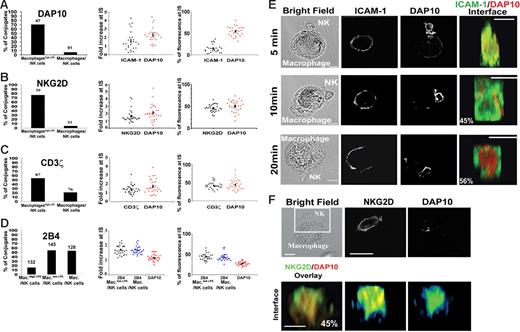 Figure 7. Two distinct NK cell–activating immune synapses. (A-D) NK cells were coincubated with macrophages or macrophageshigh LPS for 20 minutes, and conjugates were fixed, stained, and imaged. The left panels show the frequency of conjugates where the indicated protein accumulated at the IS, with the number of conjugates imaged indicated above each bar; middle panels, the fold increase of the fluorescence intensity at the synapse relative to elsewhere at the cell membrane, determined from 3D reconstructions of conjugates; right panels, the percent of fluorescence at the IS as a fraction of the total cell fluorescence in the cell, calculated from 3D reconstructions of conjugates. Figures show data for (A) DAP10 and ICAM-1, (B) DAP 10 and NKG2D, (C) DAP 10 and CD3ζ, and (D) DAP 10 and 2B4. In panels A-C, measurements of fluorescence intensities (middle and right panels) were made on synapses with macrophageshigh LPS, whereas in panel D calculations of 2B4 and DAP10 recruitment (middle and right panels) are made for synapses with (unstimulated) macrophages (Mac.) or macrophageslow LPS (Mac.low LPS). For 3D reconstructions, at least 27 synapses were analyzed in each case. (E) NK cells and macrophageshigh LPS coincubated for different times were fixed and stained for ICAM-1 and DAP10. Reconstructions of the distribution of ICAM-1 (green) and DAP10 (red) at the face of the IS are shown, with the frequency of such distributions marked. Thirty synapses were analyzed for each time point over 3 independent experiments. (F) NK cells were coincubated for 20 minutes with macrophageshigh LPS, and conjugates were fixed, stained, and imaged. The top row shows the bright field image and associated fluorescence within the boxed area marking NKG2D and DAP10. Reconstructions of the distribution at the face of the IS are shown (lower rows), with the frequency of such distribution marked. For the distribution at the face of the IS, about 30 synapses were analyzed over 3 independent experiments. Scale bars, 10 μm.