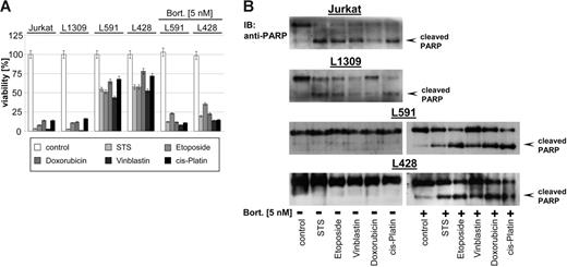 Figure 2. Bortezomib promotes cytotoxicity of cytostatic agents. Control B-cell line L1309, control Jurkat T-cell line, and HL B-cell lines (untreated or pretreated with bortezomib, 5 nM, 48 hours) were treated with STS (0.5 μM), etoposide (50 μM), doxorubicin (1 μM), vinblastine (0.2 μM), or cisplatin (200 μM) and incubated for 24 hours. (A) Viability was assayed by XTT test. The means ±SD are from 3 individual experiments performed in triplicate. (B) PARP cleavage was detected in nuclear extracts by mouse anti-PARP antibody.