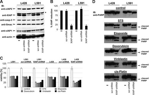 Figure 4. Knock-down of XIAP by RNA interference sensitizes HL B-cell lines for cytostatic agents. (A) cIAP2, XIAP, caspase-3, Smac, cIAP1, and actin were detected in total cell extracts of L428, L428-scr-shRNA, L428-XIAP-shRNA, L591, L591-scr-shRNA, and L591-XIAP-shRNA by Western blot analysis using specific antibodies. (B) Quantitative analysis of panel A. Graphs of mean band intensity of XIAP from Western blot images were acquired on an Alpha Innotech documentation station. All values were normalized to actin expression levels and are presented as percentage of the mean levels in untreated cells (100%). The SD values were calculated from 3 individual experiments. (C-D) HL B-cell lines L428, L428-scr-shRNA, L428-XIAP-shRNA, L591, L591-scr-shRNA, and L591-XIAP-shRNA were left untreated or treated for 24 hours with STS (0.5 μM), etoposide (50 μM), doxorubicin (1 μM), vinblastine (0.2 μM), or cisplatin (200 μM). Viable cell number was determined using an XTT assay (C). PARP cleavage was detected in nuclear extracts by mouse anti-PARP antibody (D).