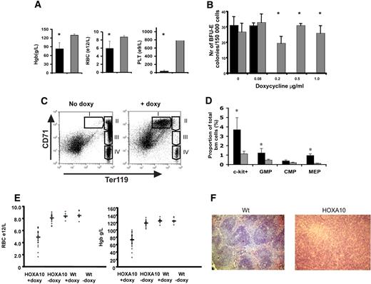 Figure 3. High levels of HOXA10 block erythroid development in vivo and lead to accumulation of hematopoietic progenitors. (A) Analysis of blood from rtTA-HA10 mice 2 weeks after induction of HOXA10 expression in vivo revealed reduced levels of hemoglobin (Hgb), red blood cells (RBCs), and platelets (PLTs) (n = 6). (B) Bone marrow cells were plated in methylcellulose supporting the formation of BFU-E colonies, with 4 different concentrations of doxycycline. Colonies were scored after 6 days of culture. Shown are the numbers of BFU-E colonies/100 000 input cells. Black bars represent inducible HOXA10 bone marrow (n = 4), and gray bars represent WT bone marrow (n = 4); *P < .05. (C) FACS analysis of uninduced bone marrow using anti-CD71/anti-Ter119 displaying normal erythropoietic development (I, proerythroblasts; II, basophilic erythroblast; III, late basophilic and chromatophilic erythroblast; IV, orthochromatophilic erythroblast and nonerythroblast) next to a representative bone marrow from a rtTA-HA10 mouse 14 days after induction, showing a block in the erythroid development. Gate I uninduced = 0.7% ± 0.1%, rtTA-HA10 = 23.1% ± 2.3% (n = 4). (D) Bone marrow from the mice above where analyzed for early progenitors using FACS showing an accumulation of c-kit+, GMP, and MEP cells. (n = 4) (E) Mice receiving transplants of inducible HOXA10 bone marrow developed anemia with low RBC counts and low Hgb levels. (F) Spleen sections from representative WT and anemic mouse (same mouse as in panel C) stained with hematoxylin-eosin displaying the disrupted spleen structure replaced by immature erythrocytes (magnification, ×100); n = 4; *P < .05. Images were obtained using an Olympus BX50 microscope equipped with a 100×/1.25 NA objective (LR1, Lund, Sweden). Images were acquired using an Olympus C-3040 digital camera (LR1) and were processed using Iphoto 2.0.1 (LDC, Lund, Sweden).