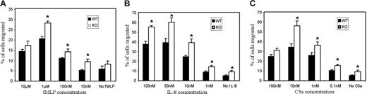 Figure 5. Enhanced transwell migration in PTEN−/− neutrophils. WT and PTEN−/− neutrophils (0.5 × 104) were allowed to migrate in response to the indicated concentration of (A) fMLP, (B) IL-8, and (C) C5a in transwell systems. Percentage of cells that migrated into the bottom well was recorded. Data shown are mean ± SD of 3 wells, from 1 experiment representative of 3. *P < .05 versus wild-type neutrophils.