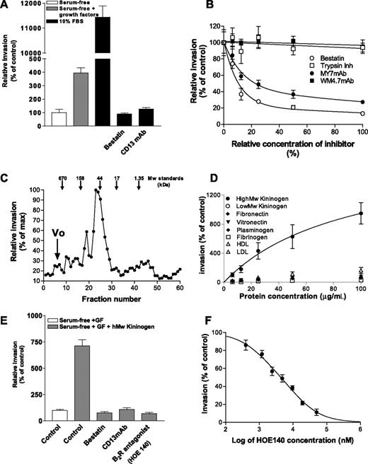 Figure 1. Serum proteins modulate CD13 dependent endothelial invasion in vitro. (A) Primary endothelial cells (HUVECs) were plated in the top chamber of Matrigel-coated transwell plates in the presence (▩) or absence (□) of added growth factors or 10% FBS (■) and the number of cells invading through the Matrigel barrier assessed after 24 hours. The CD13 functional antagonists bestatin (100 μg/mL) and MY7 antibody (1:100 dilution; CD13 mAb) were added to medium containing 10% FBS. (B) Invasion was assessed in the presence of increasing doses of the CD13 antagonists or irrelevant inhibitors or noninhibitory CD13 antibodies. The highest concentration of each agent used is set at 100%. For bestatin (○) and soybean trypsin inhibitor (□), 100% equals 100 μg/mL, while for antibodies MY7 (●; neutralizing mAb) and WM4.7 (■; noninhibitory mAb) 100% equals 1:40 dilution. (C) FBS was fractionated by gel filtration, and fractions were assayed for their ability to induce endothelial invasion. (D) Invasion was assessed in the presence of increasing concentrations (“Materials and methods”) of the plasma components fibronectin (♦), vitronectin (▾), plasminogen (▴), fibrinogen (□), high-molecular-weight kininogen (HK; ●), and low-molecular-weight kininogen (○), LDL (*), and HDL (▵). (E) HK (100 μg/mL; ▩)–induced invasion was assessed in the presence of the CD13 inhibitors bestatin or MY7 antibody (CD13 mAb, 1:100 dilution) or the bradykinin B2 receptor antagonist HOE140 (10 μM). (F) Effect of increasing concentrations of B2 receptor antagonist HOE140 on invasion induced by 10% FBS. Relative invasion in treated cells is expressed as percentage of controls. Data are shown as means plus or minus a standard deviation (SD), n = 3.